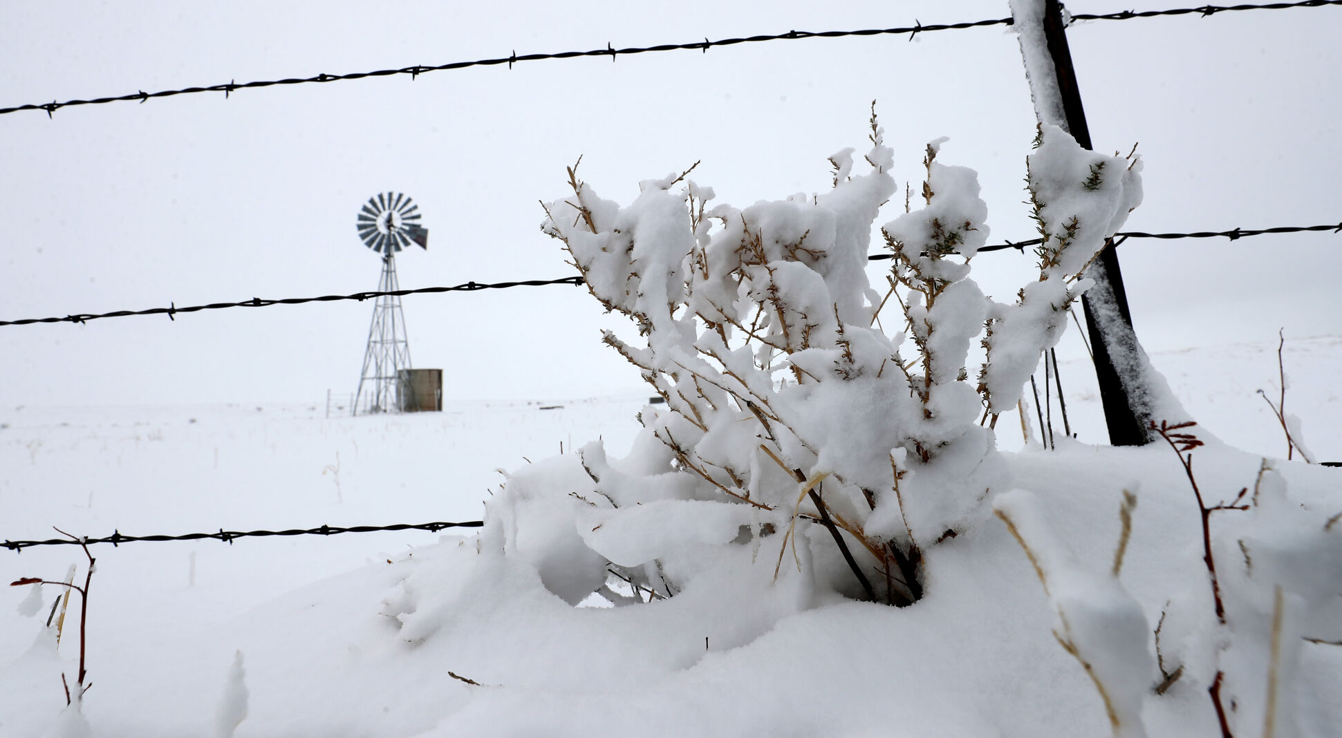 Snow